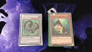 Naturia Deck Profile May 2022 [upl. by Eisler]