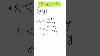 ShorttrickGamete formation in dihybrid crossheterozygous plantNeetncertbiology [upl. by Attennaej322]