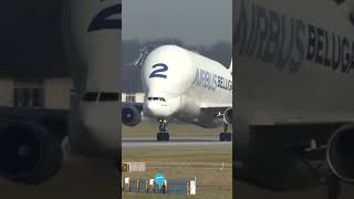 Airbus BELUGA Takeoff [upl. by Talich]