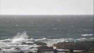 Asilomar Waves Timelapse [upl. by Baxter499]