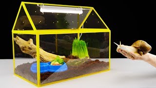 DIY Unusual Home for a Giant Snail [upl. by Moore898]