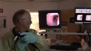 Using a Bronchial Scope for a Bronchoscopy at Christian Hospital in St Louis Missouri [upl. by Tnairb]