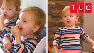 Quint Chaos Top Moments  OutDaughtered  TLC [upl. by Akiehsal]