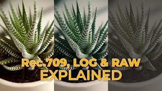 Rec709 LOG amp RAW Explained  Visual Verse [upl. by Oht]