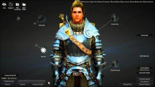 Black Desert Online  Import A Character Appearance [upl. by Hymen]