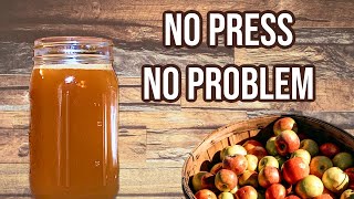 Make Cider Without a Press  From Fresh Apples [upl. by Olfe]