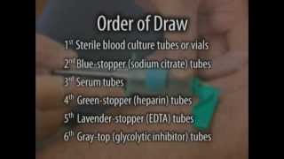 Venipuncture Order of Draw [upl. by Hanako]