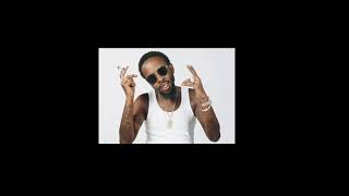 Popcaan  Everything Nice Clean [upl. by Eiliak]