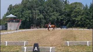 Dressage CCE Amateur Élite [upl. by Ayit]