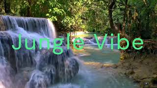 Jungle Vibe Better Audio Quality [upl. by Clarisa351]