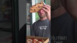 Dave Portnoy Cannot Believe This Pizza Was Only 10 [upl. by Goar]