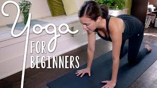 Yoga For Complete Beginners  20 Minute Home Yoga Workout [upl. by Sontag385]