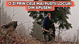 MA PRINS CEAȚA ȘI PLOAIA ÎN MIJLOCUL SĂLBATICIEI  O ZI PRIN MUNȚII APUSENI [upl. by Ahsitram]