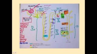 Tubulointerstitial Diseases  CRASH Medical Review Series [upl. by Eeliah]