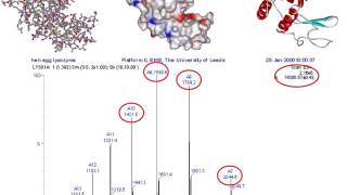 Mass spectrometry for proteomics  part one [upl. by Hsepid]