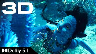 IMAX 3D Teaser • Avatar 2 The Way of Water • Dolby 51 [upl. by Marita]