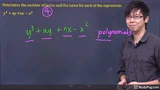 ʕ•ᴥ•ʔ What are Polynomials Explained [upl. by Ramedlab]