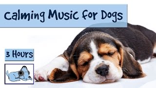 3 and a Half Hours of Calming Music for Dogs [upl. by Odrareve]