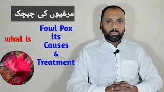 How to Treat Fowl Pox in Chickens [upl. by Dalli853]