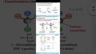 Biochimie les glucides part 2✅ [upl. by Ayr]