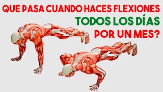 ✅ Qué Pasa Cuando Haces FLEXIONES CADA DÍA Durante Un Mes [upl. by Erminia]