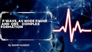 ECG P wave QRS complex and t wave [upl. by Elamef]