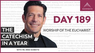 Day 189 Worship of the Eucharist — The Catechism in a Year with Fr Mike Schmitz [upl. by Anowahs149]