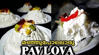 മഞ്ഞു പോലൊരു PavlovaPavlova recipe  Pavlova  PAVLOVA Cook Expert [upl. by Ttreve]