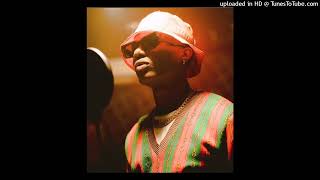 FREE Wizkid Type Beat x Rema Type Beat  quotPannaquot [upl. by Llerrem262]