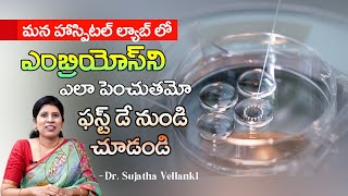 Embryo Development  Embryo Journey and Significance  Oasis Fertility  Dr Sujatha Vellanki [upl. by Ativoj]