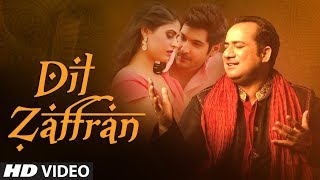 Dil Zaffran Video Song  Rahat Fateh Ali Khan  Ravi Shankar  Kamal Chandra  Shivin  Palak [upl. by Nnoryt]