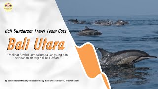 BALI SUNDARAM TEAM ENJOYING THE BEAUTY OF TOURISM IN NORTH BALI travel lovina dolphin [upl. by Stone]