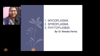 Mycoplasma Phytoplasma Spiroplasma मायकोप्लाज्मा फायटोप्लाज्मा तथा स्पाइरोप्लाज्मा [upl. by Eugenius]