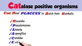 catalase positive organismscatalase positive organisms mnemonicsmicrobiology [upl. by Ehpotsirhc]