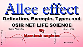 Allee effect Ecology Simply Explained By Kamlesh sapiens for CSIR life sciences exam [upl. by Ailehc]