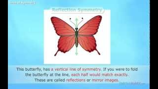 Lines of Symmetry Explained Math for Kids [upl. by Oicapot]