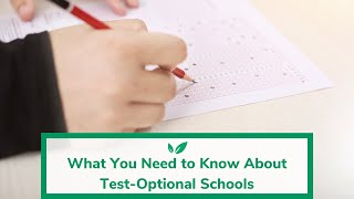 What You Need to Know About TestOptional Schools [upl. by Odiug34]