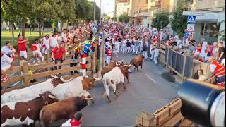 Primer encierro Fiesta de Tudela 2024 [upl. by Rothwell]