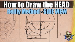 How to Draw the HEAD amp FACE  Reilly Method SIDE VIEW  Art Tutorial [upl. by Nadiya]