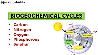 Biogeochemical Cycles  Carbon Nitrogen Oxygen Sulphur  Unit 2  Environmental Chemistry [upl. by Zuckerman]