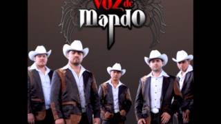 Grupo Voz De Mando  Corridos Alterados MixHD [upl. by Anaihr]