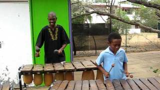 Botswana Music Marimba 3 [upl. by Curhan689]