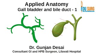 Mastering Gallbladder and Bile Ducts anatomy part 1 [upl. by Dyana]