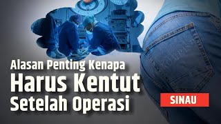 Alasan Utama Dokter Mewajibkan Pasien Kentut Setelah Operasi  SINAU [upl. by Wendel13]