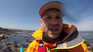 Sea Kayaking  Staffa Treshnish Islands and Moidart  June 2016 [upl. by Vail35]