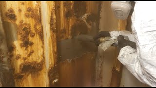 Abatement and Decontamination using SpongeJet [upl. by Rettig838]