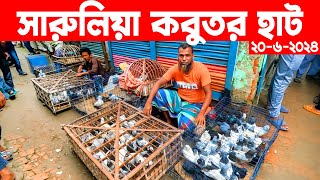 সারুলিয়া কবুতর হাট ২০৬২০২৪  kobutor hat 2024  pigeon market in bangladesh  Saroliya kobutor hat [upl. by Wallache]