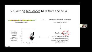 Singular value decomposition of protein sequences for visualizing sequence and residue space [upl. by Hayward]