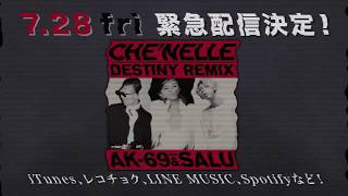 シェネル「Destiny Remix feat AK69 amp SALU」728（金）緊急配信決定！ [upl. by Esadnac]