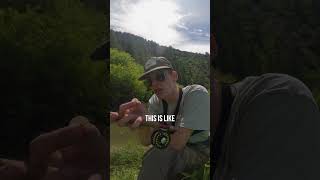 Stealthy SightFishing to Hungry Trout outsunday [upl. by Harrie]